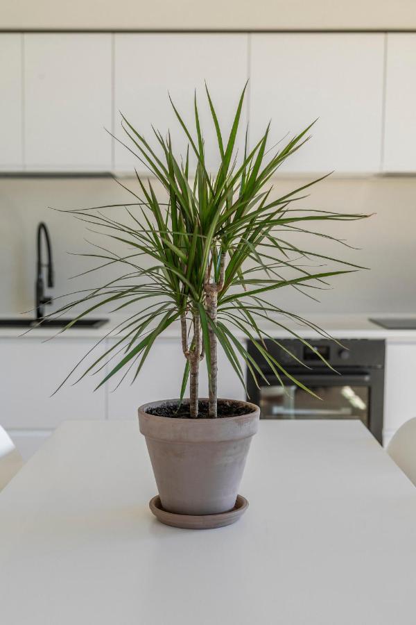 La Dolce Vita - Sunny Penthouse Trastevere Station 100Sqm 로마 외부 사진